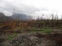 Merapi