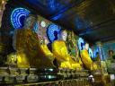 disco-buddha