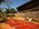 Trekking Inle Lake naar Kalaw