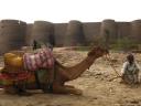 Derawar Fort