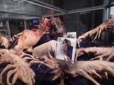 Universal Studio\'s Hollywood 089