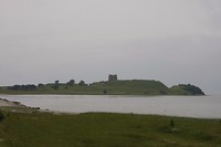 ruiine