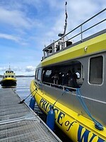 Prince of Whales walvis Safari