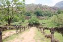 Wat Phu Champasak