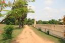 Koh Trong
