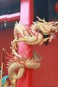Chinese draak