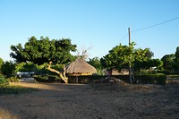DSC00651