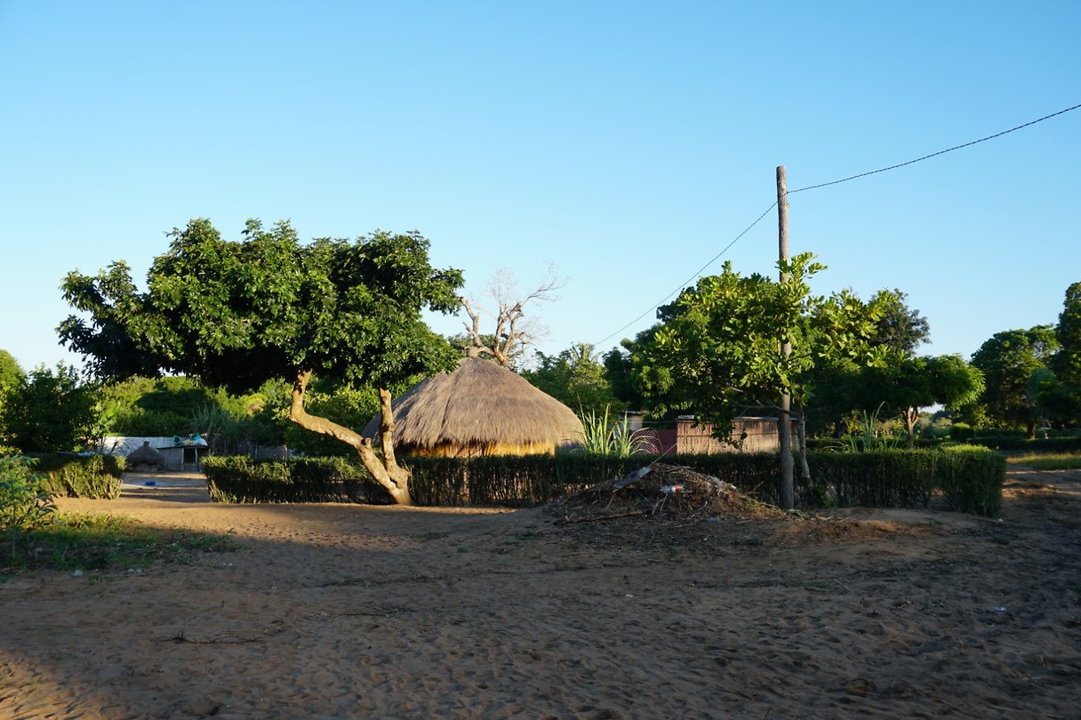 DSC00651