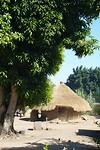 DSC00663
