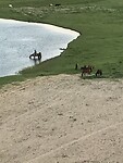 Mijn paard in de rivier