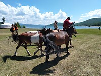 Otgoo en kantumur ( ons 2 Mongoolse mannen) vertrekken met de paarden😩😩