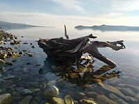 The lake