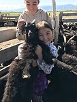 Baby geitje met Morgana en Tuli