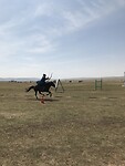 Boogschieten vanop paard