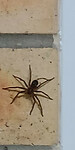 IMG-20231221-WA0038