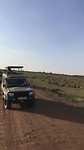 Masai Mara