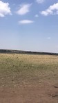 Masai Mara