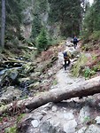 De wandelroute