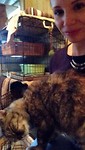 Knuffelen