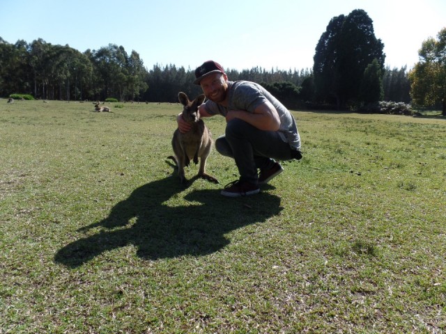 Kangoeroe veld Morisset (2)