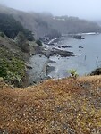 Coastal view noord