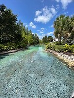 Rivier op Disney Springs