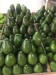 Avocado’s