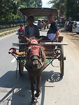 Paardenkoetsjes