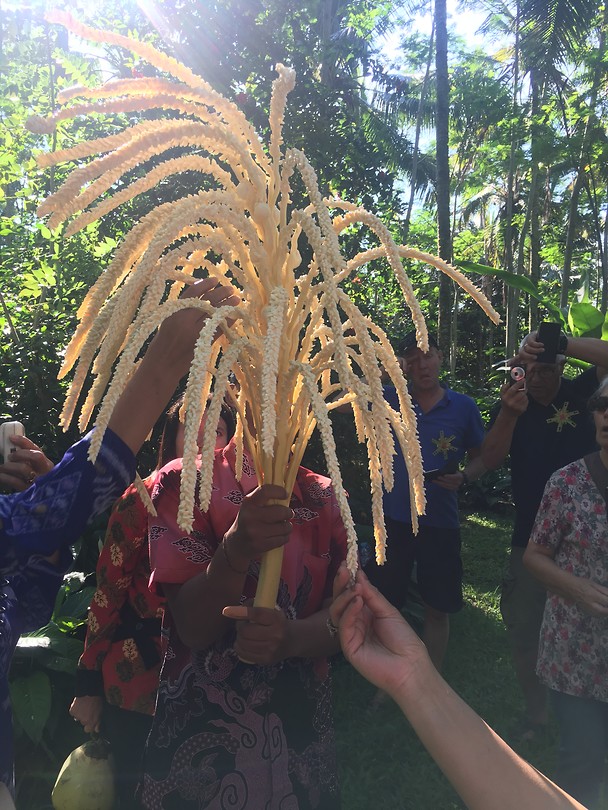 Bloem van de palmboom