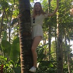 Nancy klimt palmboom in
