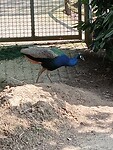 IMG-20240607-WA0007