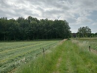 IMG-20240607-WA0008