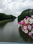 IMG-20240607-WA0005