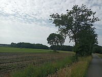 IMG-20240607-WA0011