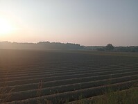 IMG-20240608-WA0004