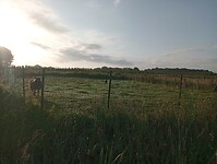 IMG-20240611-WA0004