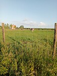 IMG-20240611-WA0006