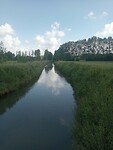IMG-20240611-WA0010