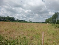 IMG-20240611-WA0011