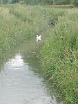 IMG-20240611-WA0012
