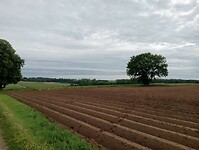 Afbeelding van WhatsApp op 2024-06-18 om 17.18.46_acccdfa2