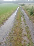 Afbeelding van WhatsApp op 2024-06-22 om 17.47.28_0deb853a