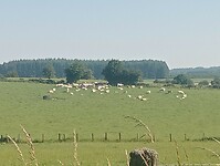 IMG-20240626-WA0011
