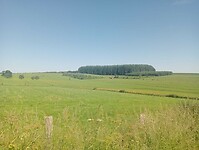 IMG-20240626-WA0012