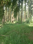 IMG-20240626-WA0013