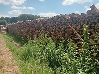 IMG-20240626-WA0017