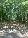IMG-20240626-WA0018