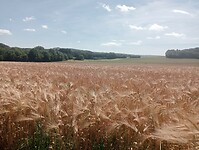 Afbeelding van WhatsApp op 2024-06-28 om 20.53.18_dcf85175