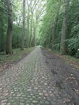 Afbeelding van WhatsApp op 2024-07-03 om 17.29.03_cec42f67