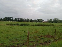 Afbeelding van WhatsApp op 2024-07-03 om 17.29.07_642bf177